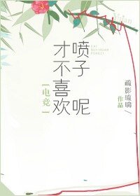 才不喜歡噴子呢[守望先鋒]