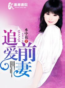豪门弃妇之赖上总裁夫人