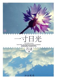 一寸日光