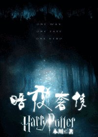 （HP同人）暗夜奢侈