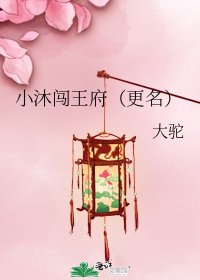 小沐闯王府(更名)
