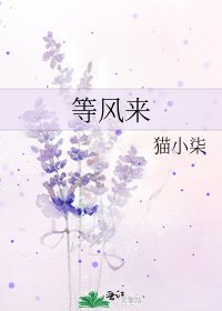 《等风来》