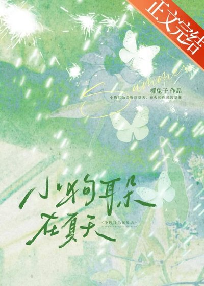 小狗耳朵在夏天